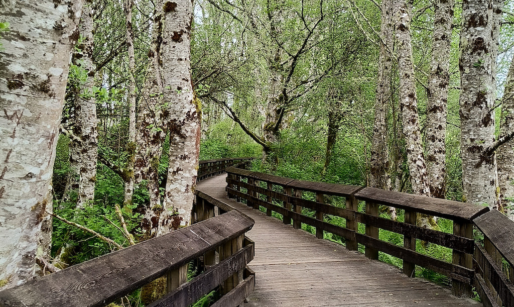 Walking the beach at low tide