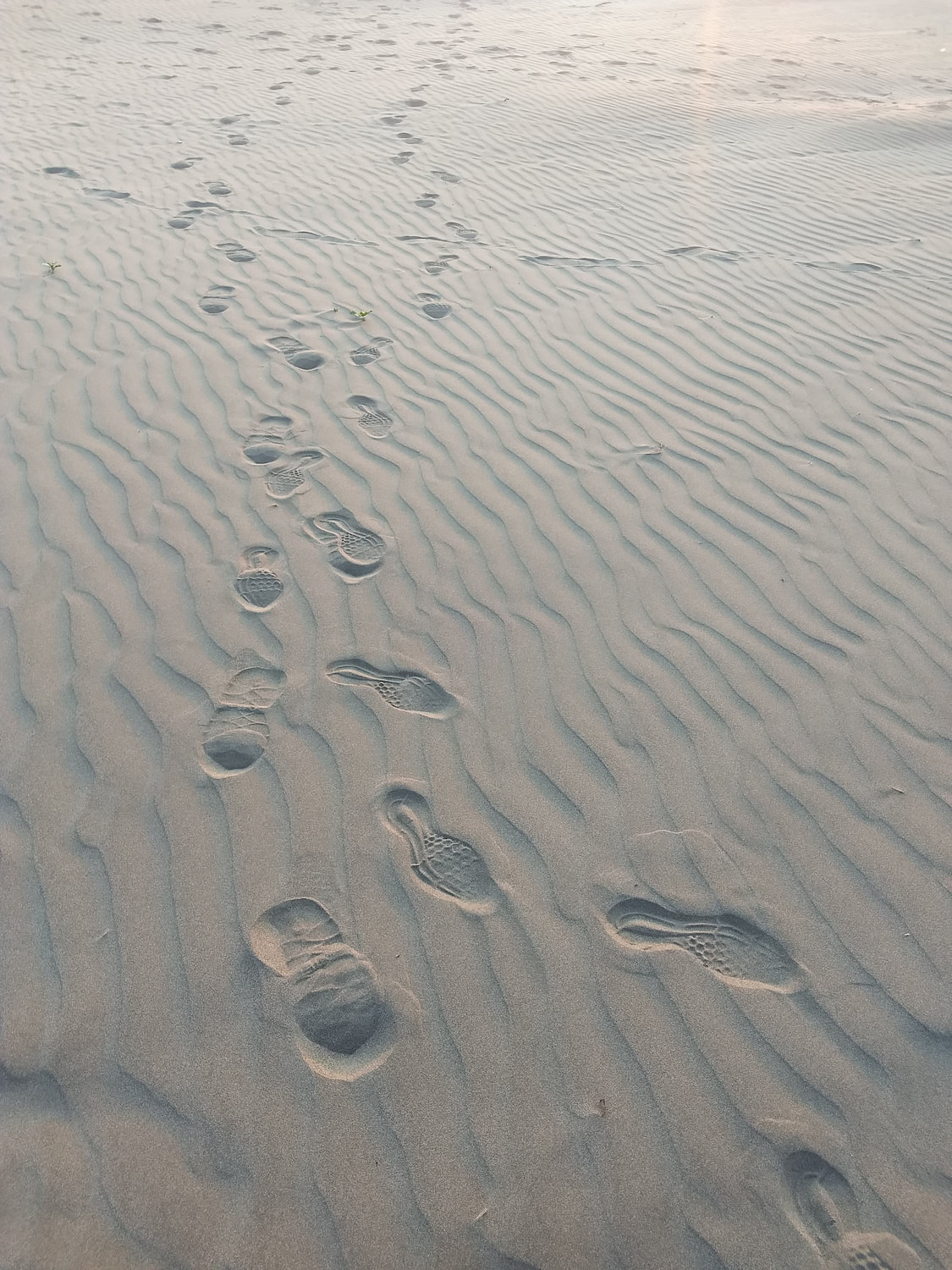 Warm coastal scene near Ocean Shores